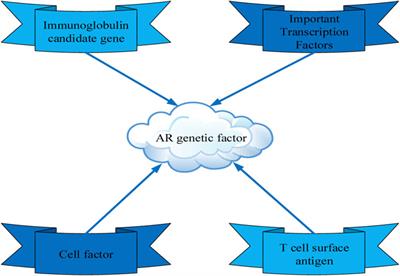 Relationship between single nucleotide polymorphism of NOS2 gene and inheritance of allergic rhinitis in children